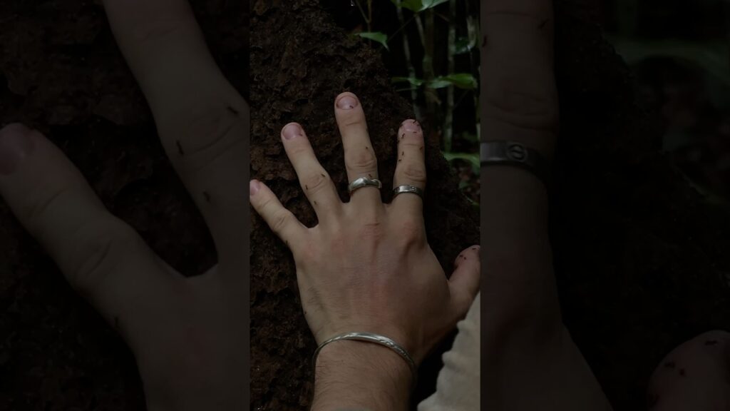 100 ant bites instead of 100 mosquito bites.Would you make that trade?