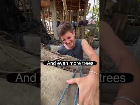 Protect your trees - they will out live you 🫶🏼